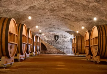 Domaine du Château de La Chaize