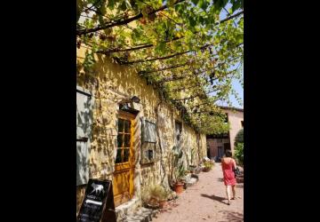 Domaine de Corps de Loup Allée du caveau