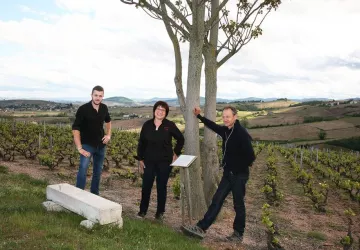 Le Plateau de Grille Midi