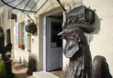 Restaurant - Le Coq - JULIENAS