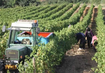 Domaine-Nicolas-Croze