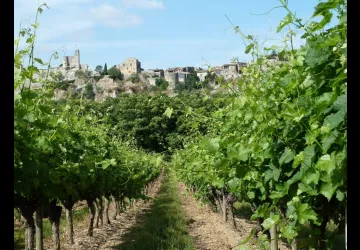 Domaine de la Croix Blanche