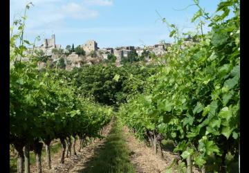 Domaine de la Croix Blanche Domaine de la Croix Blanche