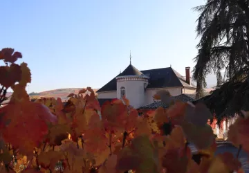 Le chateau des Loges au pied des vignes