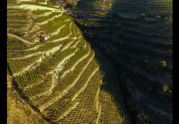 Cave de Tain
