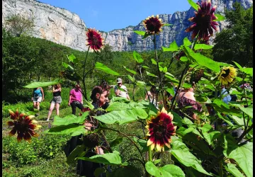 Les Aromatiques de Choranche, Visites pédagogiques Adultes