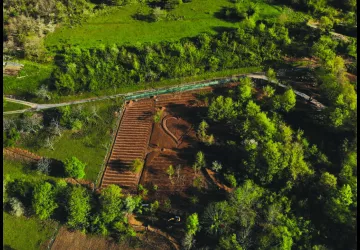 Les Aromatiques de Choranche, Production et transformation de plantes