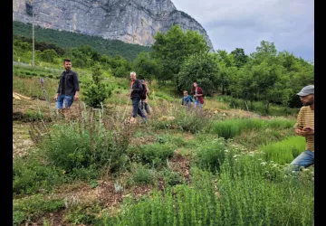 Les Aromatiques Cueillette.jpg
