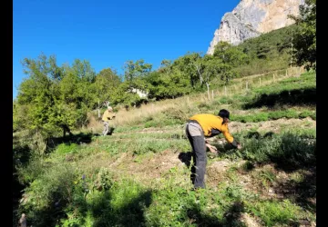 Les Aromatiques de Choranche, Culture.jpg