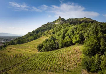 Domaine de la Beylesse