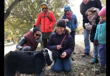 Cavage avec le chien - Ferme Les Eybrachas