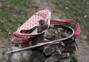 Truffes - Ferme Les Eybrachas