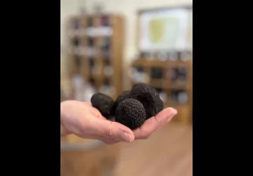 Maison de la Truffe et du Tricastin