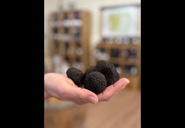 Maison de la Truffe et du Tricastin