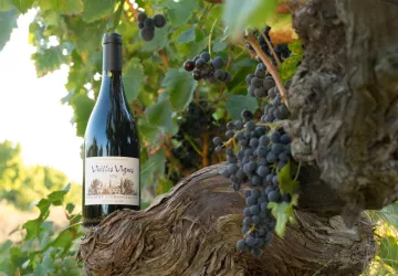 Domaine de Grangeneuve - Roussas