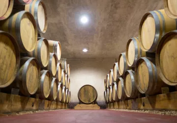 Domaine de Grangeneuve - Roussas