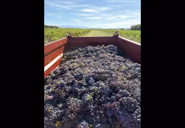 Domaine de Grangeneuve
