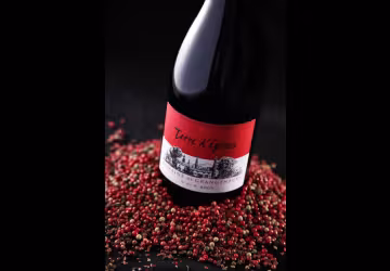 Domaine de Grangeneuve_Roussas