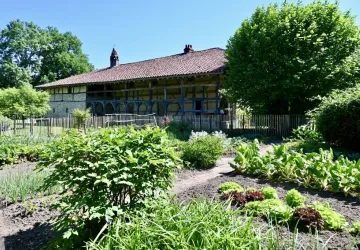 Domaine des Saveurs - Les Planons