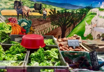 Marché Place Carnot