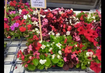 Marché Place Carnot
