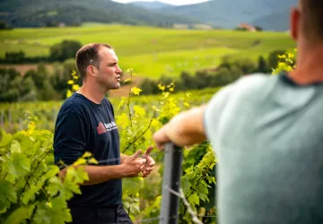 Domaine Frédéric Berne - Visite dans les vignes