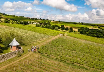 Domaine Frédéric Berne - Parcellaire Les Vergers