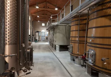 Notre chai de vinification