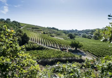 Domaine Laurent Fayolle