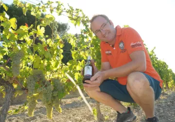 le vin blanc du domaine