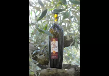 huile d'olive du domaine
