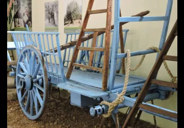 Musée de l'Olivier à Nyons