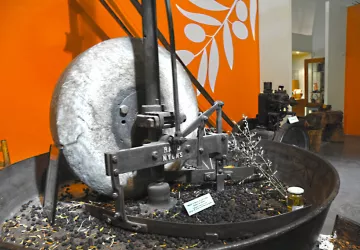 Musée de l'Olivier à Nyons