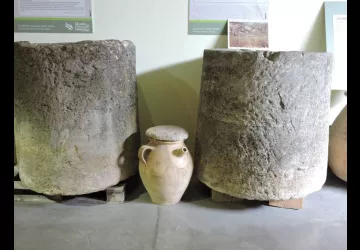 Musée de l'Olivier à Nyons