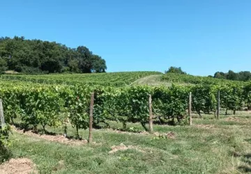 Domaine Pradelle_Chanos-Curson