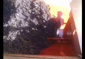 Domaine Pradelle_Chanos-Curson