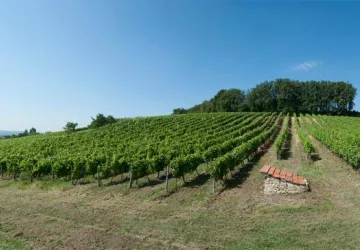 Domaine Pradelle_Chanos-Curson