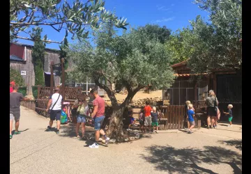 Mini-ferme et volière