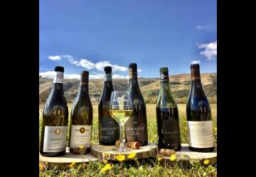 Les Vins de Vienne