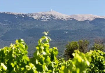 Le Mont Ventoux