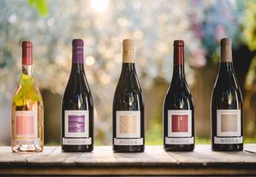 Nos vins