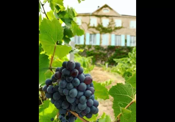 Château des Bachelards à Fleurie