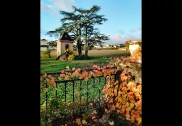 Château des Bachelards à Fleurie