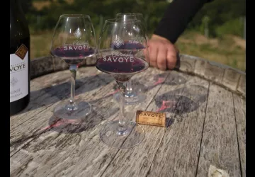Dégustation vins chiroubles savoye