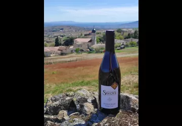 Bouteille vin Chiroubles