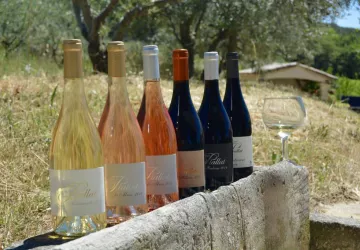 Domaine Piallat - Vin - Montbrison sur Lez