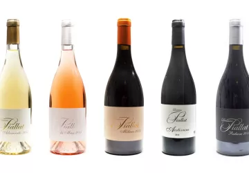 Domaine Piallat - Vin - Montbrison sur Lez