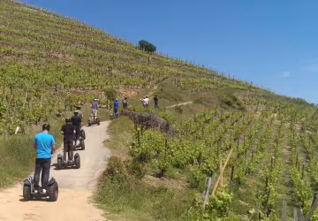 Balade en gyropode sur Condrieu Côte-Rôtie