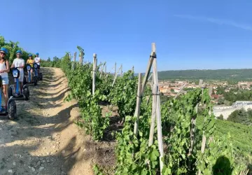 Balade en gyropode sur Condrieu Côte-Rôtie