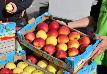Fête de la Pomme_Pélussin
